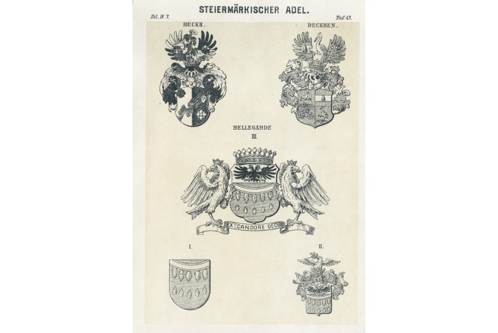 Steiermark - Beckh, Siebmacher, litogr, (1860)