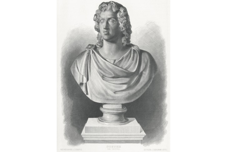 Goethe von Tripel, oceloryt, 1886
