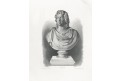 Goethe von Tripel, oceloryt, 1886