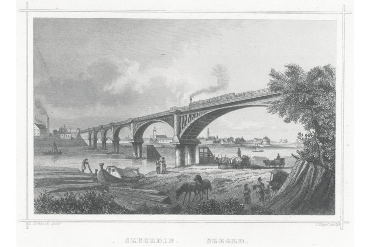 Szeged, Rohbock, oceloryt 1863