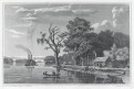 Missisippi, Lange, oceloryt, (1850)