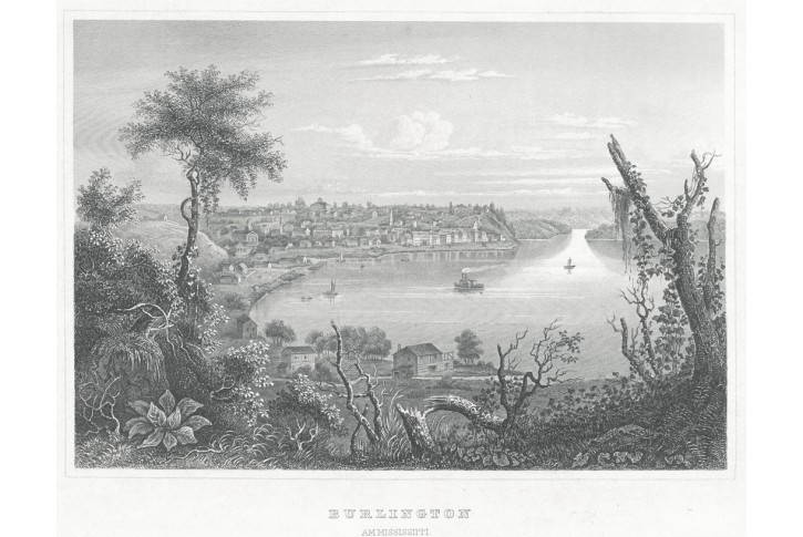 Burlington, Meyer, oceloryt, 1850