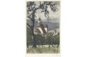 Prachatice, Meissner,. Lept, (1830)