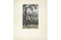 Prachatice, Meissner,. Lept, (1830)
