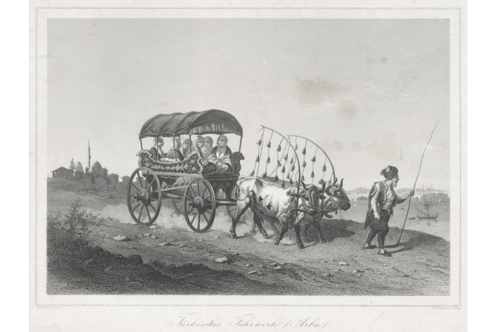 Turecký povoz, Lloyd,, oceloryt, (1860)