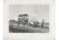 Turecký povoz, Lloyd,, oceloryt, (1860)