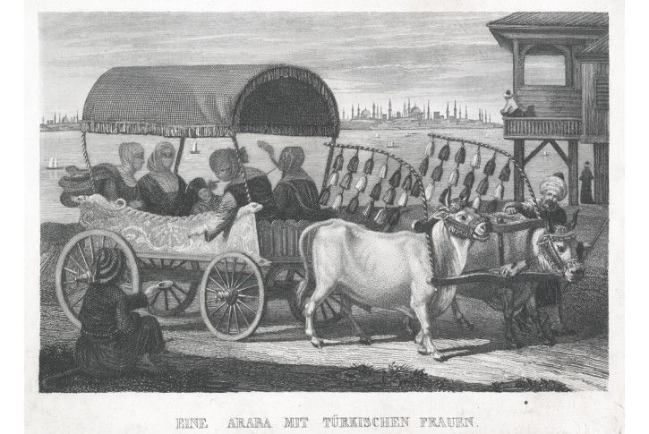Turecký povoz, oceloryt, (1850)