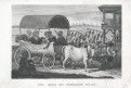 Turecký povoz, Lloyd,, oceloryt, (1860)