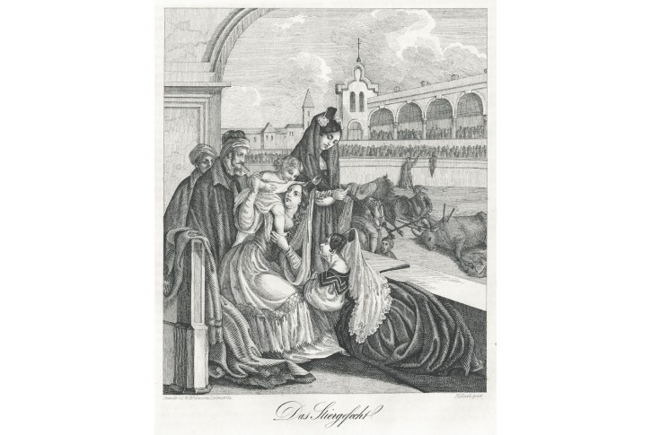 Býčí zápasy, Medau litografie, 1839