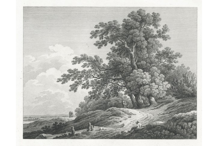 krajina strom, Piringer Benedikt, lept, (1800)