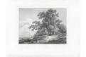 krajina strom, Piringer Benjamin, lept, (1800)