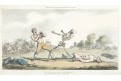 Box Tanec smrti, Rowlandson, mědiryt, 1815