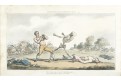 Box Tanec smrti, Rowlandson, mědiryt, 1815