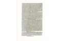 Bohemia, H. Schedel, dřevořez 1493