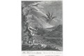 Ridinger J.E.: Jestřáb a kachna, mědiryt, (1780)