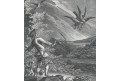 Ridinger J.E.: Jestřáb a kachna, mědiryt, (1780)