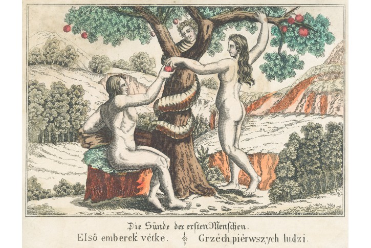 Adam a Eva první hřích, kolor. mědiryt, (1820)