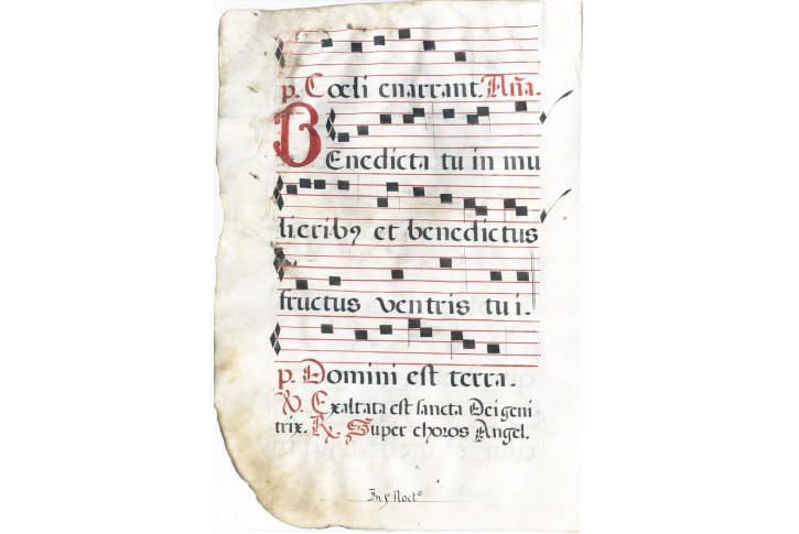 List z chorální knihy na pergamenu, 16 stol.