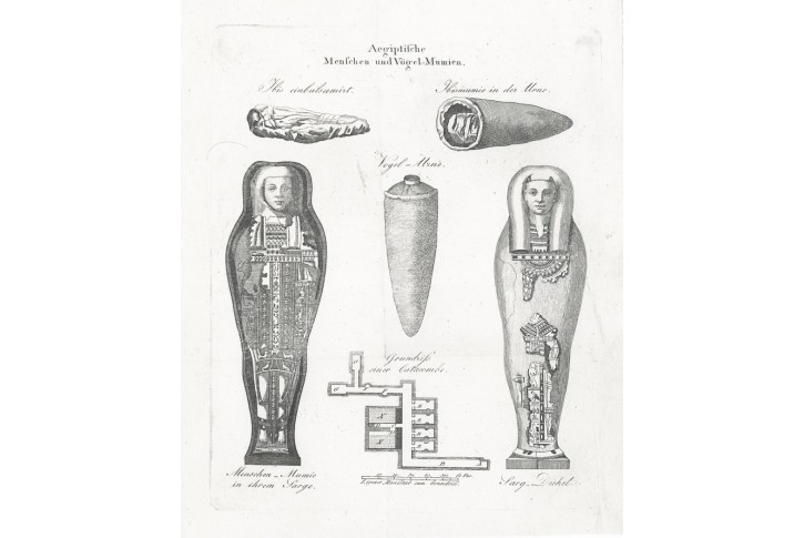 Mumie, André, mědiryt, 1820