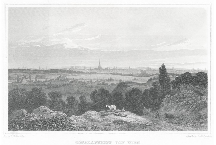 Wien celkový, Lange, oceloryt, 1840