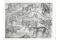 Kočkovité šelmy,  litografie , (1840)