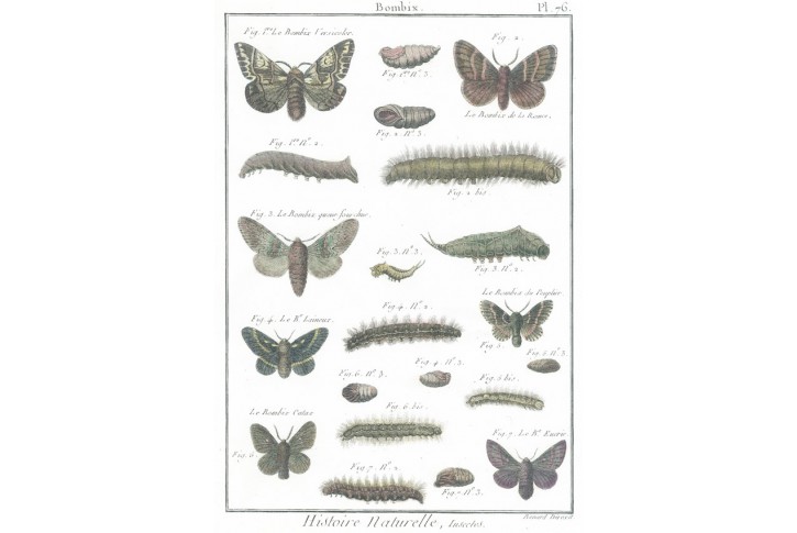 Bourci, Diderot, kolor. mědiryt , 1790