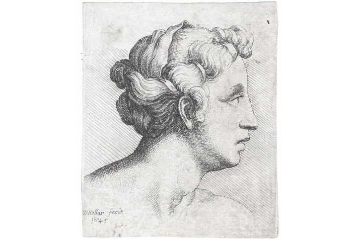Hollar V.: Hlava ženy, mědiryt, 1645