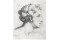 Hollar V.: Hlava ženy, mědiryt, 1645