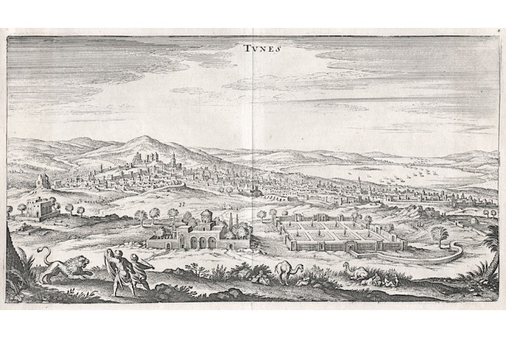 Tunis, Gottfried, mědiryt, 1646