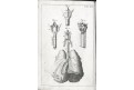 Kulmus J. A.: Anatomische Tabellen, Augsb, 1745