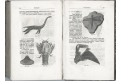 Švácha Fr.: Přírodopis  a Učebná kniha, 1876