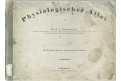 Baumg&auml;rtner, Physiologischer Atlas. Stgt., 1853. 