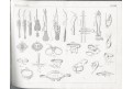 Ott : Armamentarium chirurgicum, München, 1840