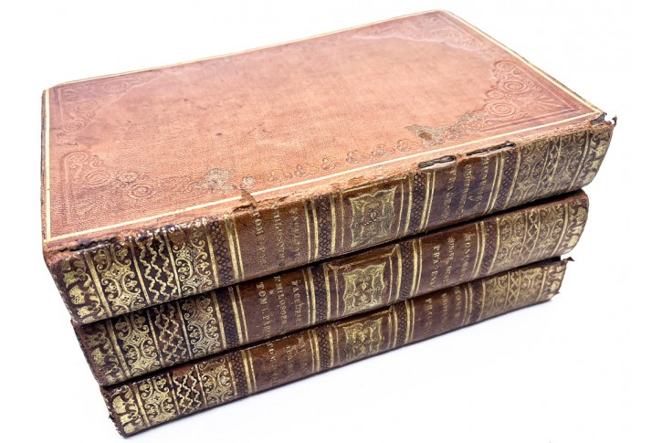 Monumenta Carolo-Ferdinandeae Tom. I. - III.