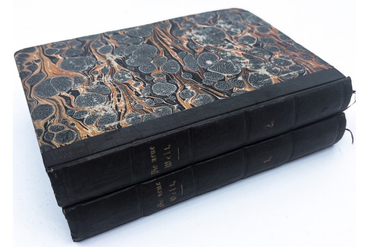 G&ouml;rling A.: DIE NEUE WELT, Leipzig, 1848