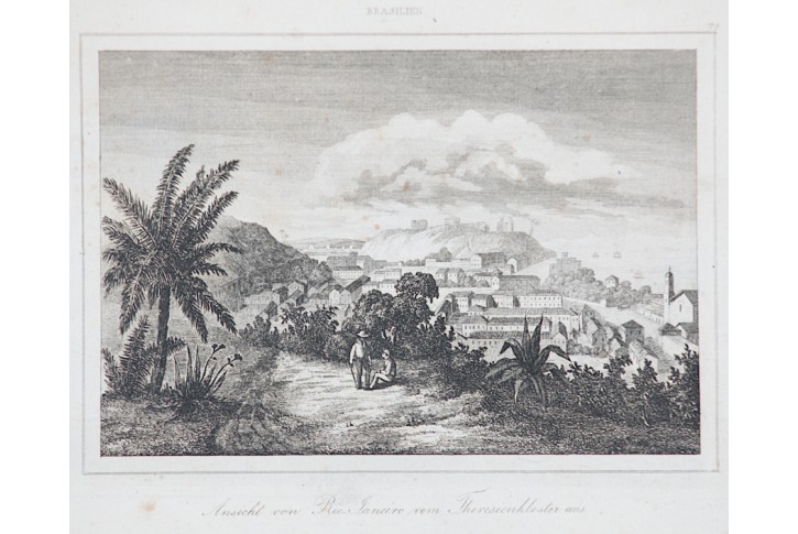 Rio Janeiro Santa Tereza, Le Bas, oceloryt 1840