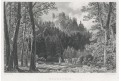 Vald&scaron;tejn, Weidman, oceloryt, 1840
