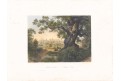 Osek, Haun, kolor. litografie, 1860