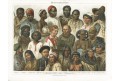 Rasy, chromolitografie, 1897