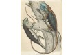 Je&scaron;těři , kolor. litografie , 1843