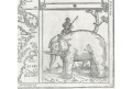 Sumatra. Münster, dřevořez, (1590)