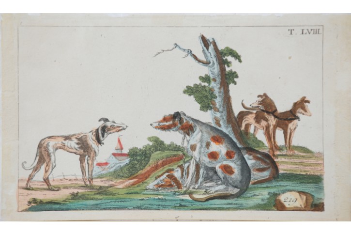 Psi III.,  kolor. mědiryt , 1825