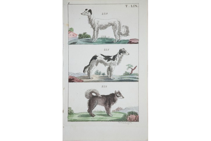 Psi V.,  kolor. mědiryt , 1825