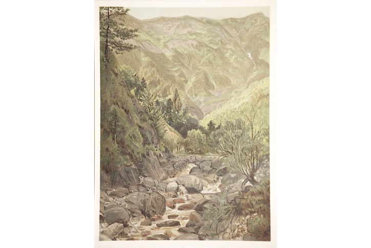 Ziemitz Wildnis bei Ischl, chromolitografie 1903