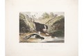 Barbet, kolor. akvatita, 1810