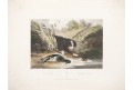 Barbet, kolor. akvatita, 1810