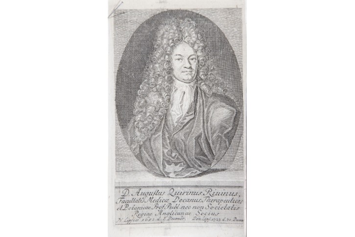 August Bachmann, mědiryt, (1750)