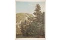 Slixenstein,  Novopacký, chromolitografie 1903