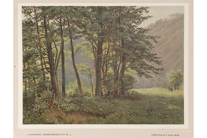 Kesseltal bei Stixenstein, chromolito 1903