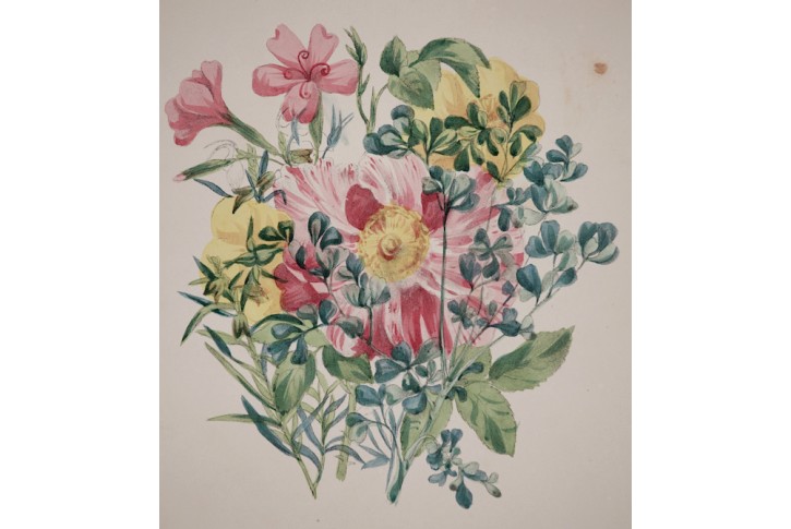 Kytice , kolor. litografie , 1829